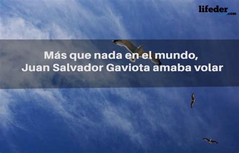 As Melhores Frases De Juan Salvador Gaviota Imagens Econom A