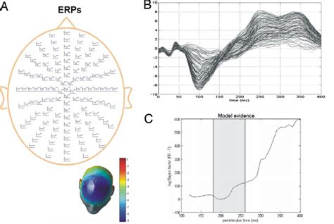 Bayesian Model Comparison Among Dcms Of Grand Mean Erps A Grand