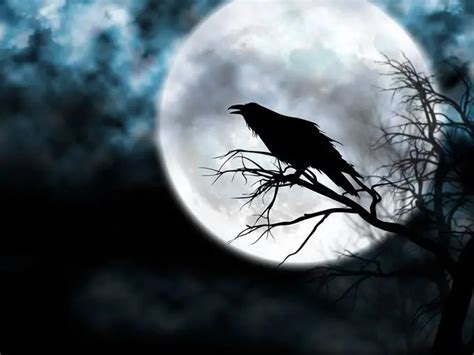 Raven Symbolism and Raven Meaning on Whats-Your-Sign