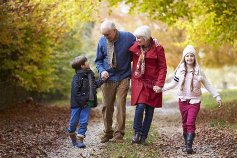 Grands Parents Avec Des Petits Enfants Marchant Le Long D Autumn Path