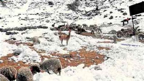 Senamhi Advierte Nevadas Y Lluvias En La Sierra Sur Peru Correo