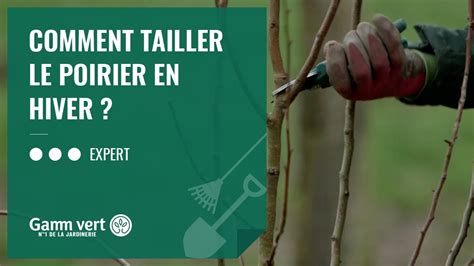 Tuto Comment Tailler Les Poiriers En Hiver Jardinerie Gamm Vert