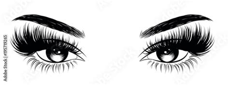 Illustration Of Womans Sexy Luxurious Eye With Perfectly Shaped Eyebrows And Full Lashes Hand