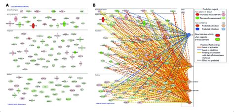 Bioinformatic Analysis Of Differentially Expressed Protein In