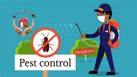 Importance Of Pest Control Latest Business Fashion Entertainment