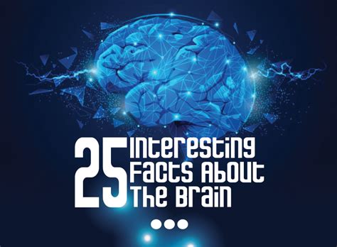 25 Interesting Facts About The Brain! The human brain is the most ...