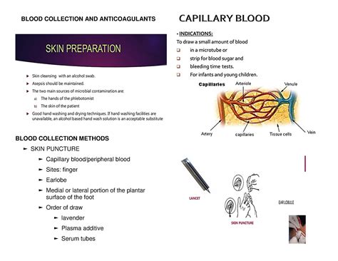 Print Blood Collection And Anticoagulants Blood Collection And