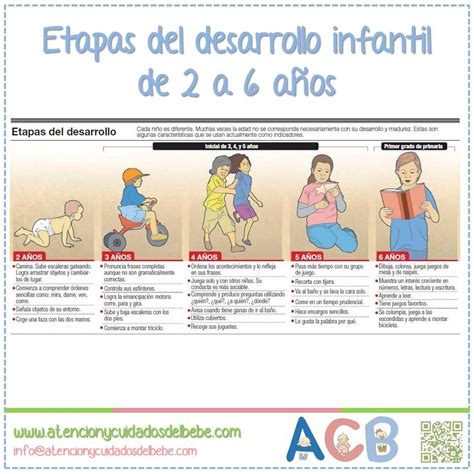 50 Etapas Del Desarrollo Cognitivo Del Niño De 0 A 6 Años