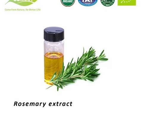 Rosemary Extract Antioxidant At Kg Rosemary Leaf Extract In