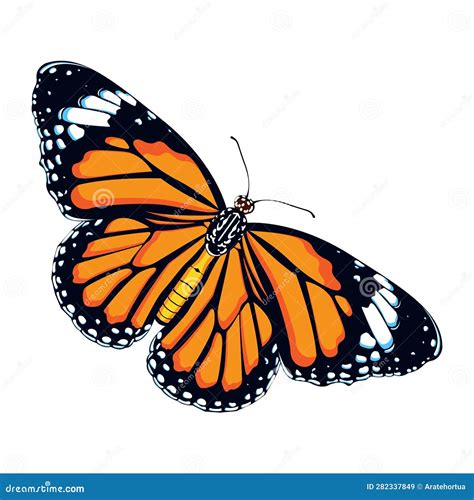 Vector Cartoon Monarch Butterfly Character Isolated Illustration Stock