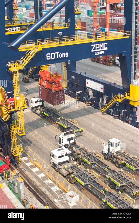 Container Shipping Trucks Line Up On Dock To Receive Unloaded