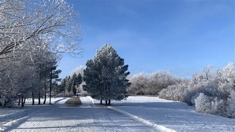 Les Prairies terminent lannée avec un avertissement de froid extrême