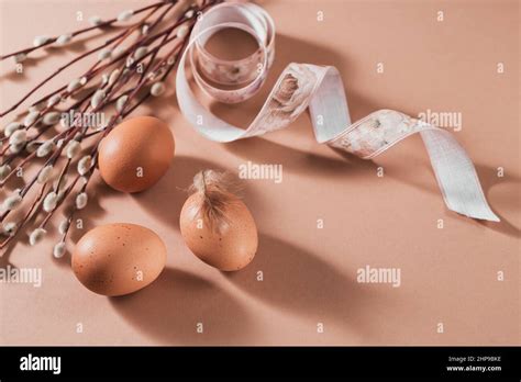 Easter Background With Natural Color Eggs Pussy Willow Branches And