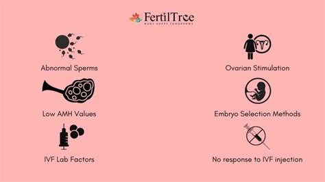 Why Does Ivf Fail Top Reasons For Ivf Failure