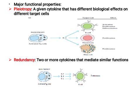 SOLUTION Cytokines Studypool