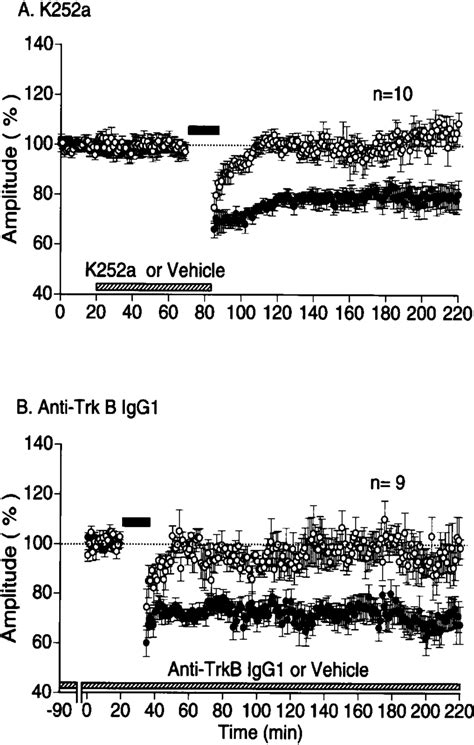 Induction Of Ltd By Lfs In The In Vivo Cortex Infused With K A Or