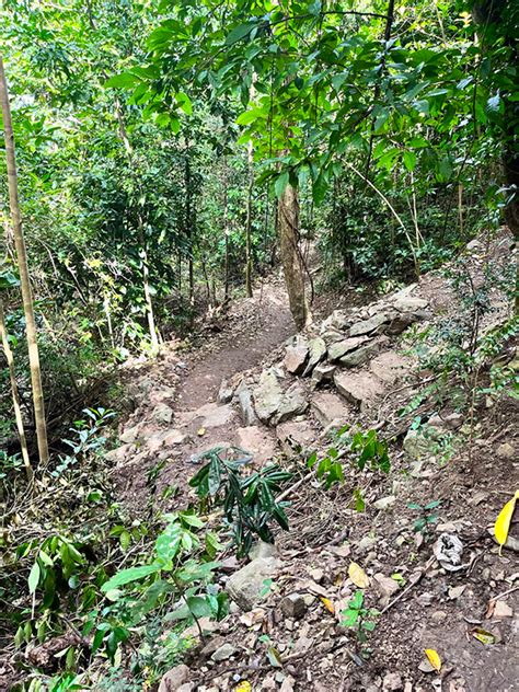 Cinnamon Bay Trail Saint John Island Guide