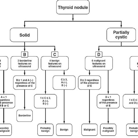 TIRADS classification algorithm [9]. | Download Scientific Diagram