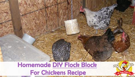 Diy Flock Block Recipe For Chickens Homemade Peck Block The Happy