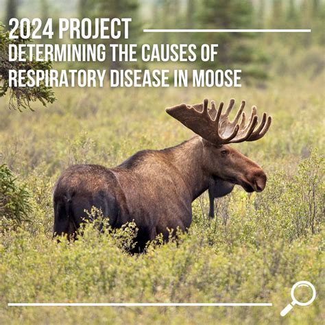 Wild Animal Health Fund on LinkedIn: #savingspecies #conservation # ...