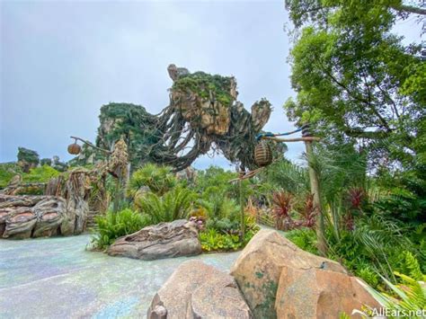 Pandora The World Of Avatar Disneys Animal Kingdom Allearsnet