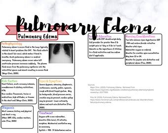 Pulmonary Embolism Concept Map Etsy