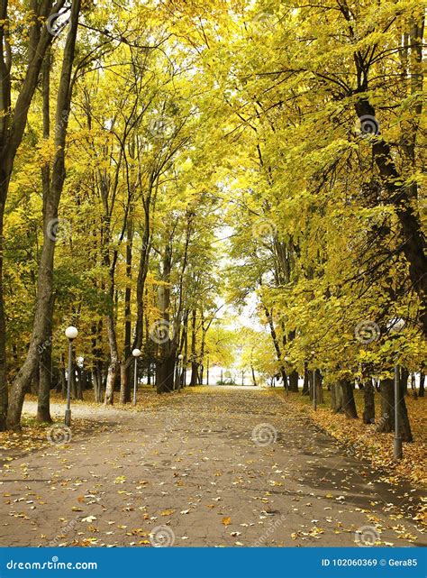 beautiful views of nature 6