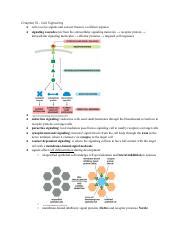 Cell Molecular Biology Exam 4 Notes Pdf Chapter 16 Cell Signaling