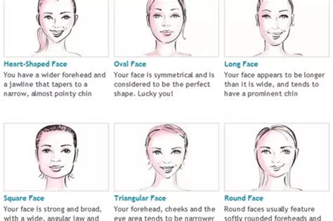 Basics To Face Reading Understanding The How And How Of A Human Face