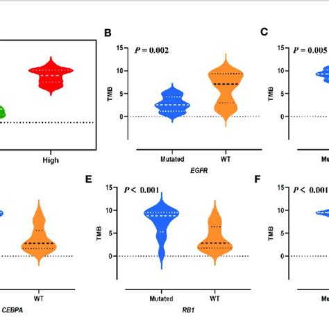 Tumor Mutation Burden Of Luad A The Distribution Of Tmb Across All Download Scientific