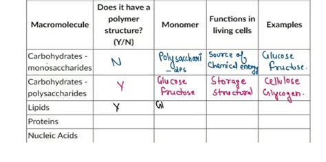 SOLVED: Fill in the following table: Does it have a Functions Macromolecule polymer Monomer in ...