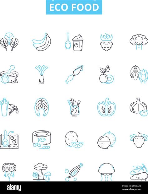 Eco Food Vector Line Icons Set Organic Natural Sustainable Local