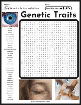 Character Traits Word Search Puzzle By Word Searches To Print Tpt Hot