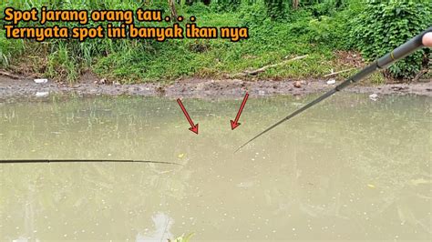 Mancing Nilem Sehabis Hujan Nal Nil Mas Brow Ikan Nilem Nya Youtube