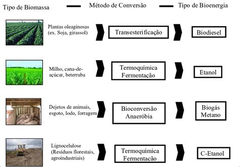 Resumo dos processos utilizados para produzir biocombustíveis através