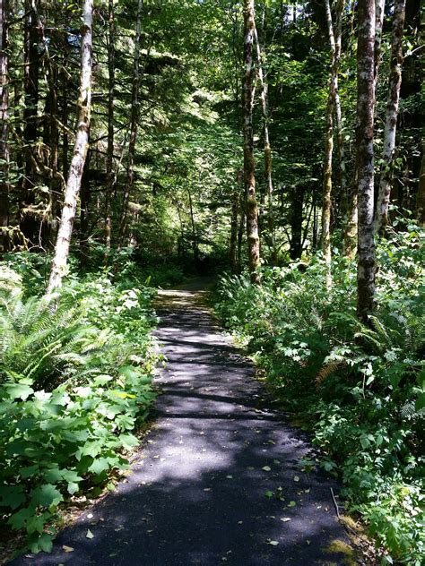 Wynoochee Falls Campground Quinault Wa