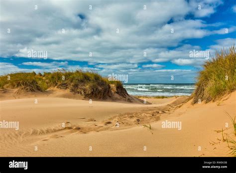 Sand dunes, Blooming Point, Prince Edward Island, National Park, Canada Stock Photo - Alamy