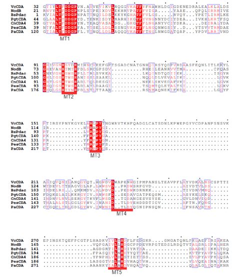 Multiple Sequence Alignment Generated By Clustalw Using The Sequences