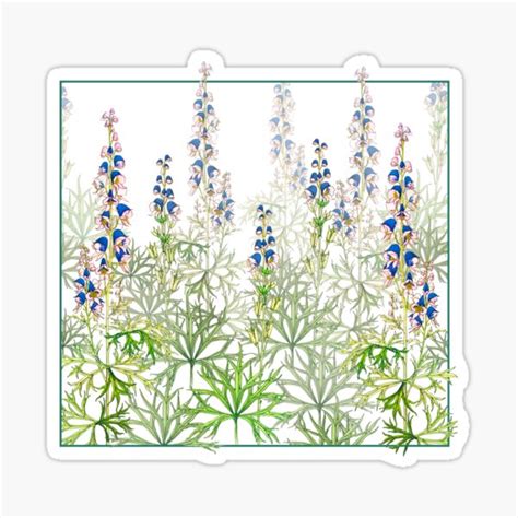 Aconite Vintage Illustration Sticker For Sale By TurnTheMoon