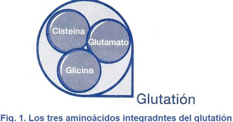 Tecnología y Salud recuperar mejorar y mantener la salud con IMMUNOCAL