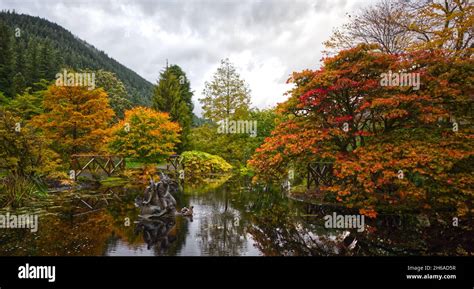 Benmore Botanic Garden Stock Photo - Alamy