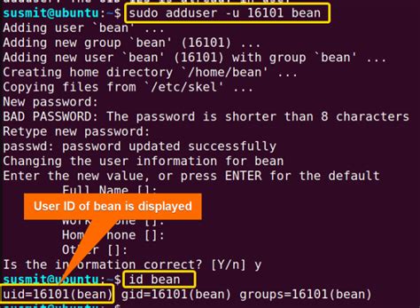 The Adduser Command In Linux Practical Examples