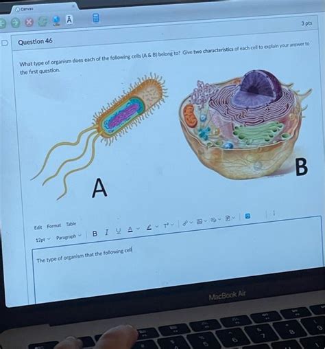 Solved Question 46 The type of organism that the following | Chegg.com 