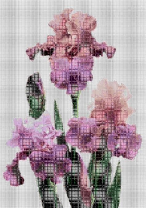 Bearded Iris Counted Cross Stitch Pattern Flowers Pixel Art Etsy