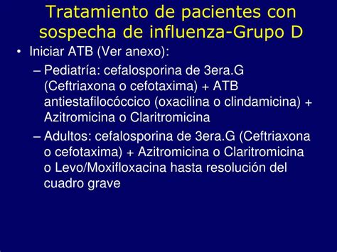 Ppt Influenza A H N Influenza Porcina Protocolo De Manejo