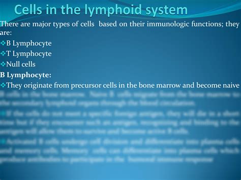 Solution Histology Of The Lymphatic System Studypool