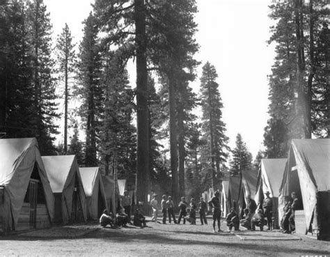 Into the Woods: The First Year of the Civilian Conservation Corps ...