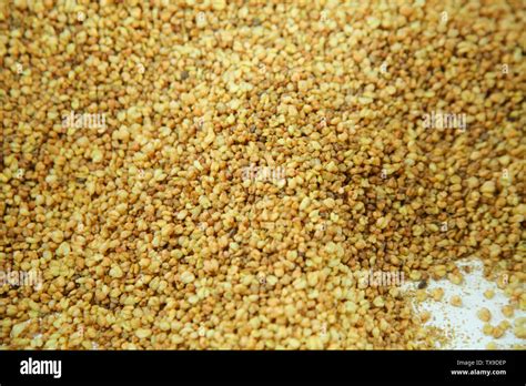 Tartary buckwheat rice hi-res stock photography and images - Alamy