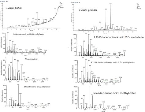 Gc Ms Chromatogram Of Methanol Leaf Extract Of Cassia Fistula And Download Scientific Diagram