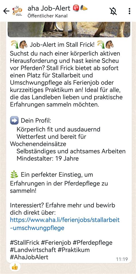 Aha Tipps And Infos Für Junge Leute Job Alert Aha Tipps And Infos